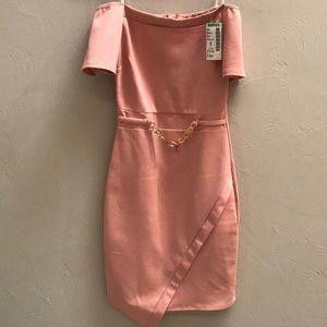 Blush Form Fitting Cocktail Dress